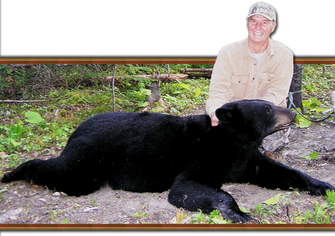 Ontario Black Bear Hunting