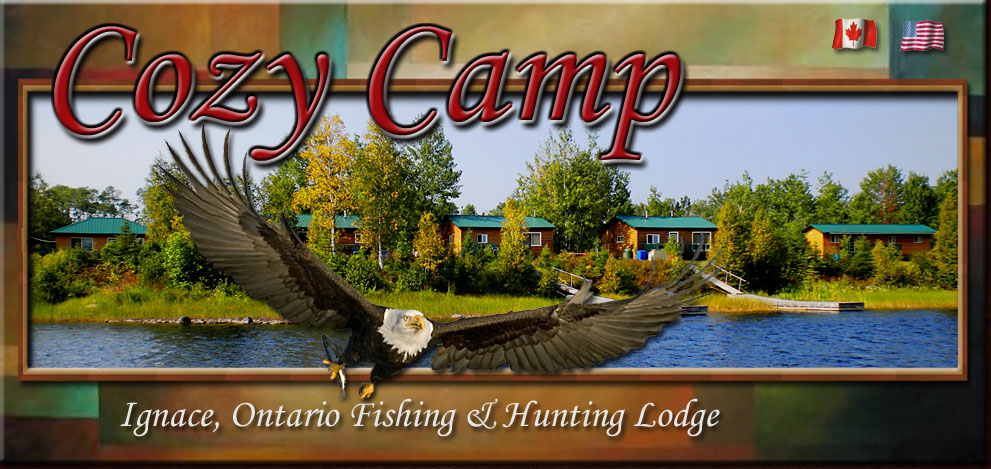 Ontario Walleye Fishing Cozy Camp